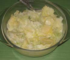 Fenchel-Apfelsalat