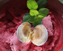 Zwetschgensorbet